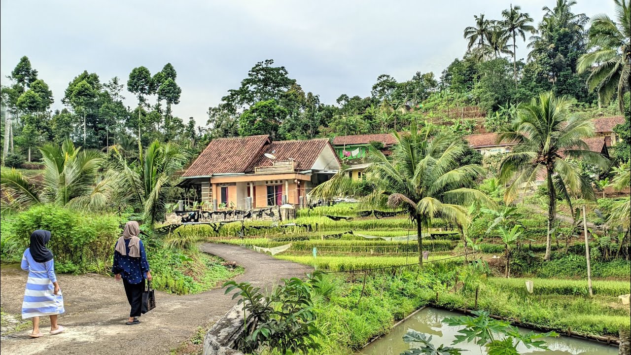 KAMPUNGNYA BERSIH RAMAH WARGANYA INDAH ALAM DESANYA😍🌿