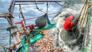 OMG 😨 DANGEROUS FISHING ‼️Just Miss | We Caught Tons Of Kili Fishes | Dinner Fish Fry Biriyani 🤤
