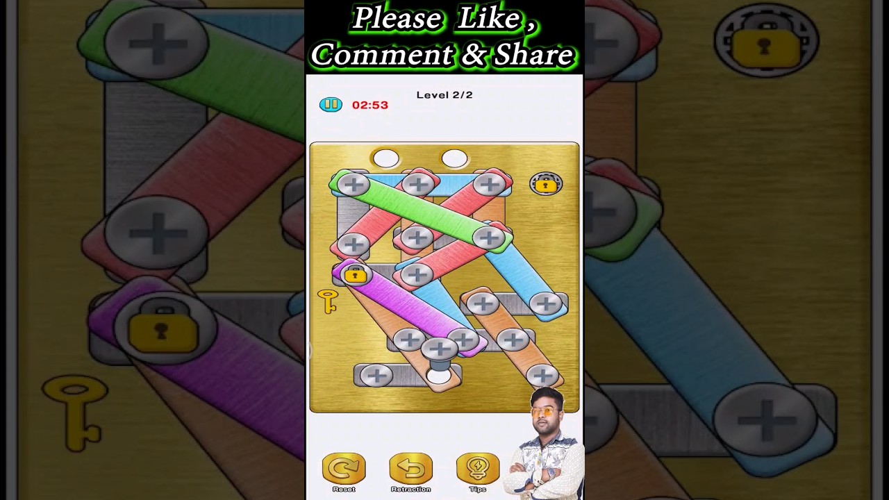 Screw Pin Puzzle Level 13 