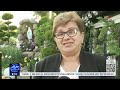 Oddanie czci Matce Bożej