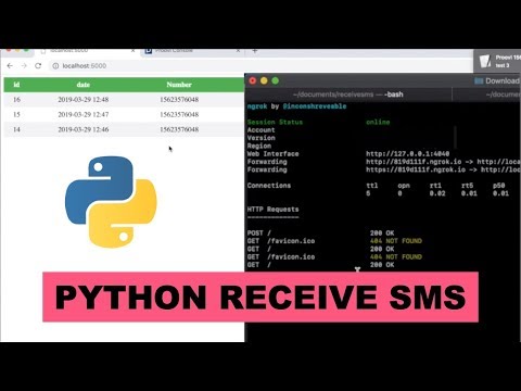 Python receive SMS project tutorial with SMS API connection