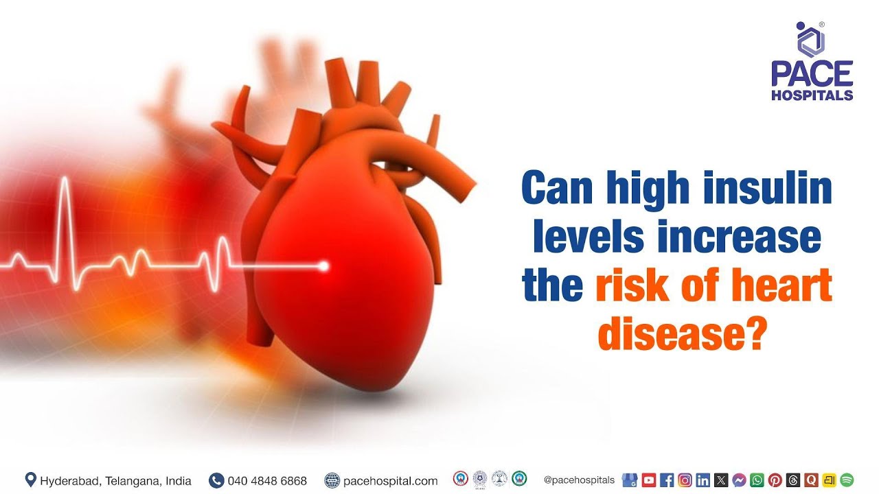 Do High Insulin Levels Increase the Risk of Heart Disease? | High Insulin Levels & Heart Disease