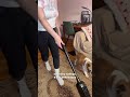 Арт на моего помощника - моющий пылесос: #262643151 #уборка #лайфхакдлядома #товарыдлядома #клининг