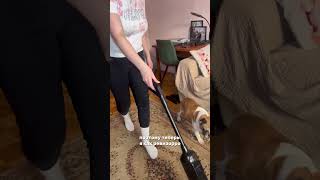 Арт на моего помощника - моющий пылесос: #262643151 #уборка #лайфхакдлядома #товарыдлядома #клининг