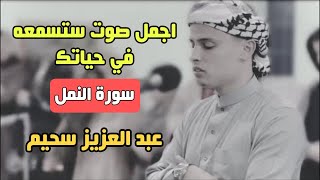 اجمل صوت ستسمعه في حياتك من سورة النمل |  عبد العزيز سحيم سورة النمل