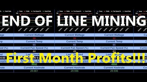 First Month Profits from First Crypto Mining Rig $$$