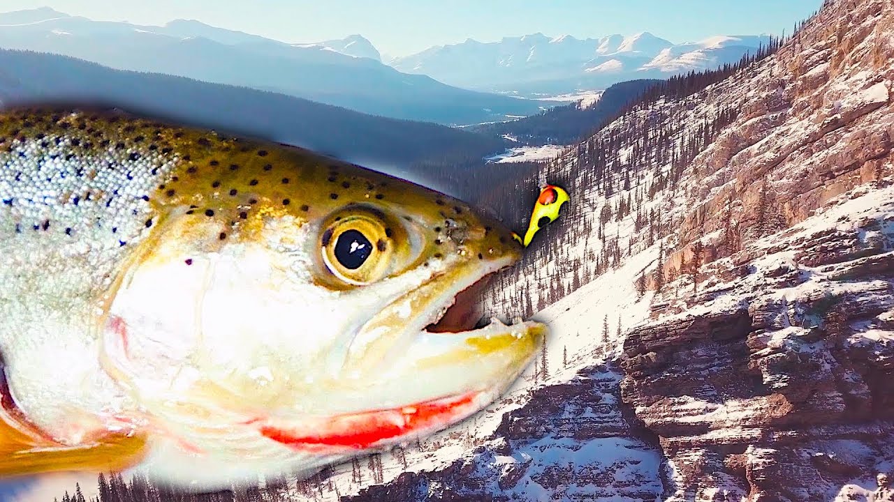 My FIRST Cutthroat Trout Mountain Ice Fishing Part 1 YouTube