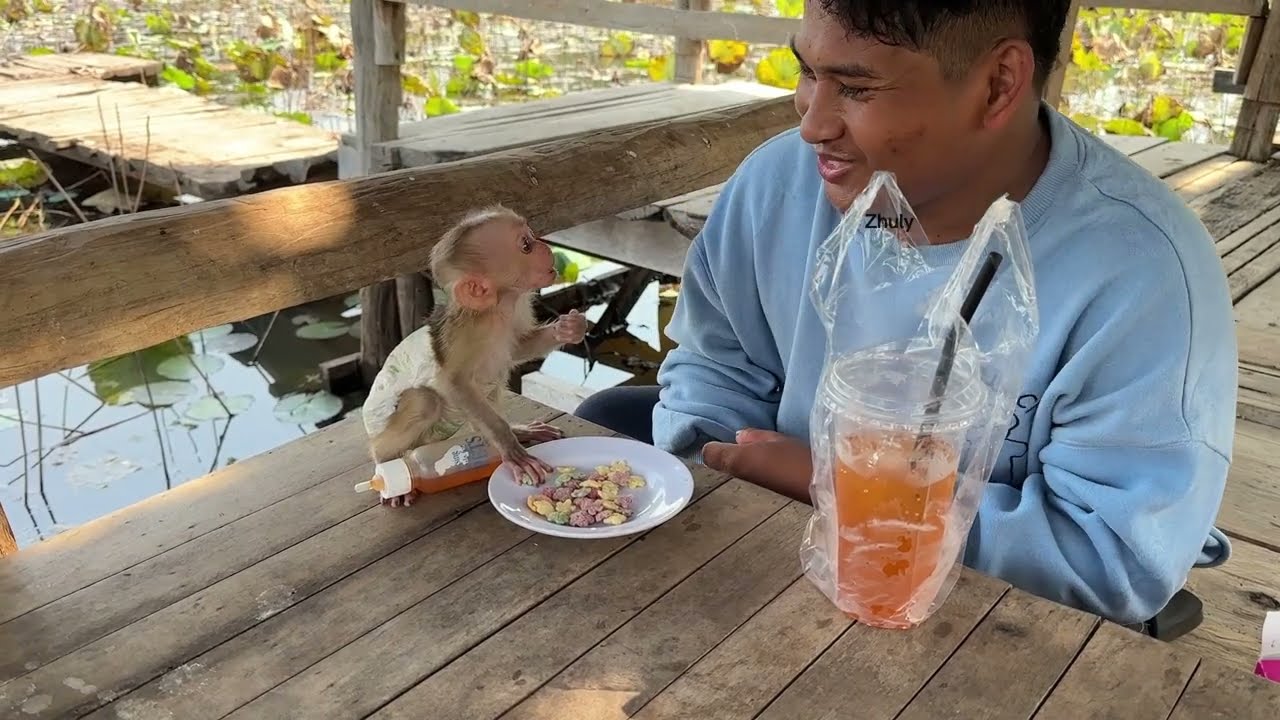 Zhuly Monkey and Daad have a happy lunch