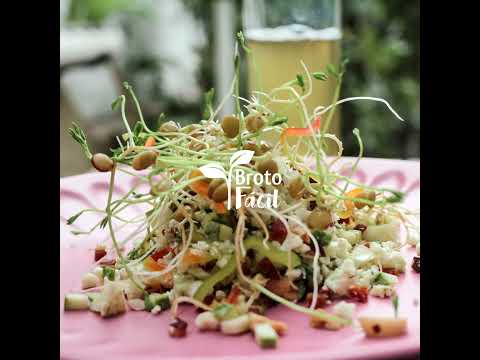 Como Germinar Lentilhas – para cozinhar, comer cruas ou fazer microvegetais  – Arquetípico Cozinha Inusitada