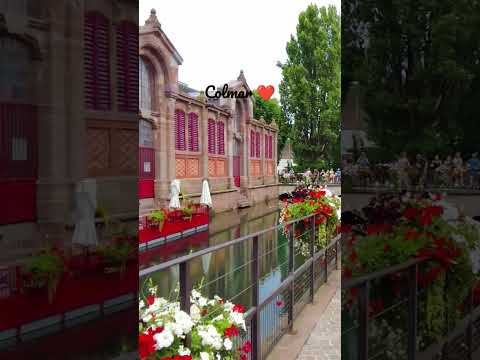 Enchanting Colmar ❤️