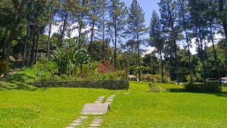 Finca La Floresta #Caripe 