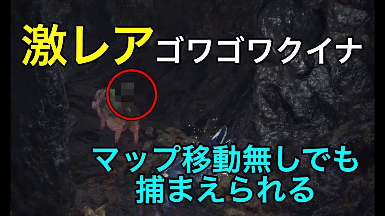 激レアのゴワゴワクイナはマップ移動無しで捕まえられる Youtube