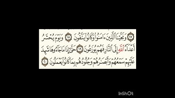 سورة فصلت ١٨الى٢٠#سورة_الرحمن #سورةالممتحنة #سورةالملك #سورةالكوثر #سورةالفاتحة #المصحف #لايك