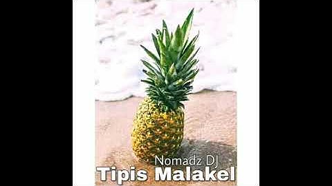 Tipis Malakel - DJ Nomadz Remake 2019 (Wawos Department)