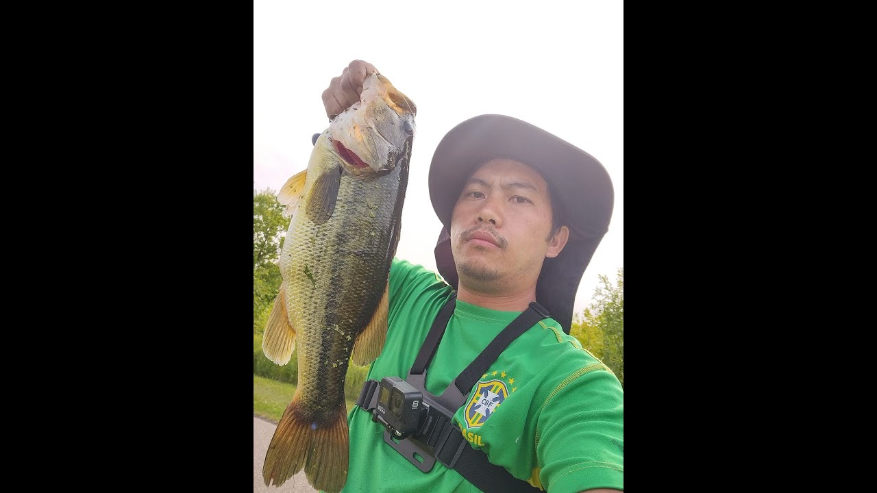 Tug Ntses Bass Loj heev (Big Bass In Small Pond )