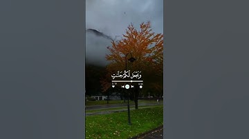 فقلت استغفروا ربكم انه كان غفارا الشيخ ماهر المعيقلي  #قرآن #القرآن #تلاوة #خشوع #شورتات_قرآن #peace