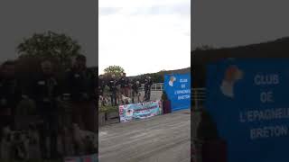 De riosmenudos presentacion del equipo español primer campeonato europeo de becadas