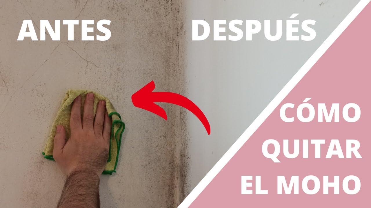 Cómo quitar el moho y productos para hacerlo