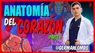 Tema 1 : Anatomía Del Corazón : Generalidades Y Configuración Externa