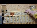 Cын готовит побег из кроватки/Son is preparing to escape from the crib
