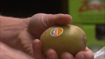 Greefa - SmartSort trabajando kiwi en Zespri.