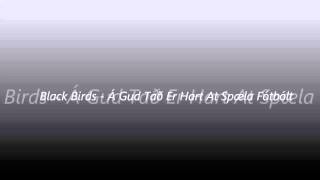 Video thumbnail of "Black Birds - Á Gud Tað Er Hart At Spæla Fótbólt"