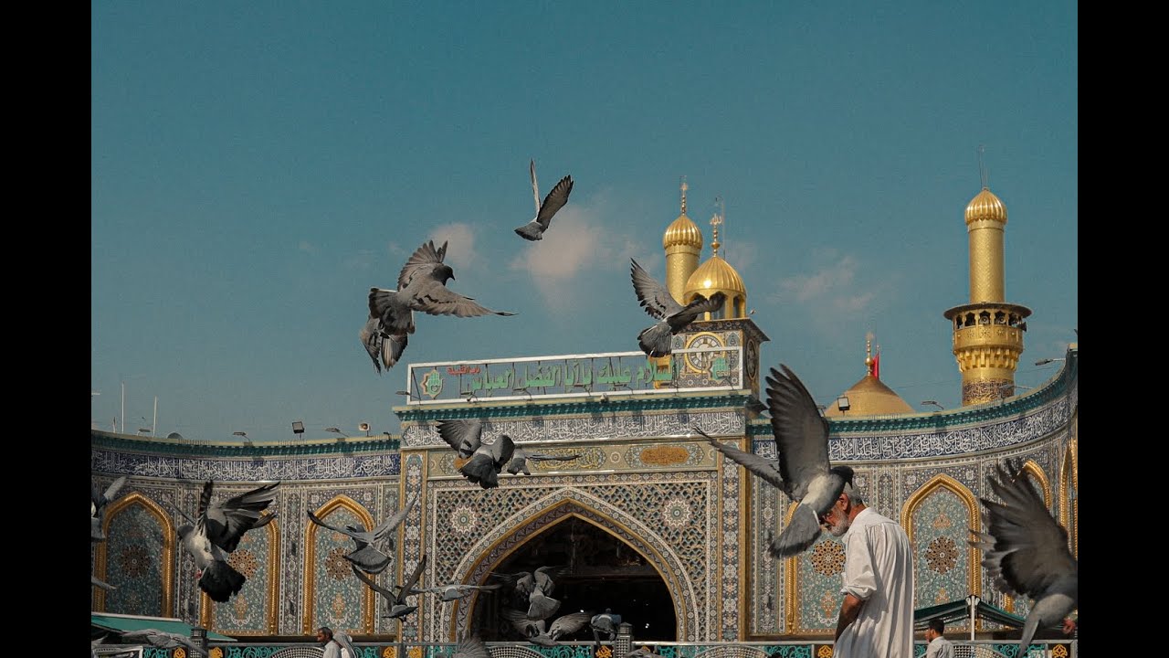 حلم..الرادود علي العنبر الكربلائي