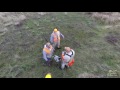 Miller Ranch Pheasant Hunting 11 19 16 Miller Ranch Pheasant Hunting 11 19 16