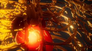 Jaye Wellness Channel What Does The Heart Do? Resimi