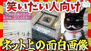 【🔥爆笑】ちょっと笑ってから寝たい人向けのおもしろ画像＆映像集！（本日の見所はラップです）
