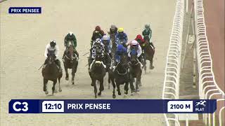 Vidéo de la course PMU PRIX PENSEE