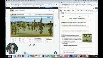 Forest Ecosystem Gizmo - Instructions