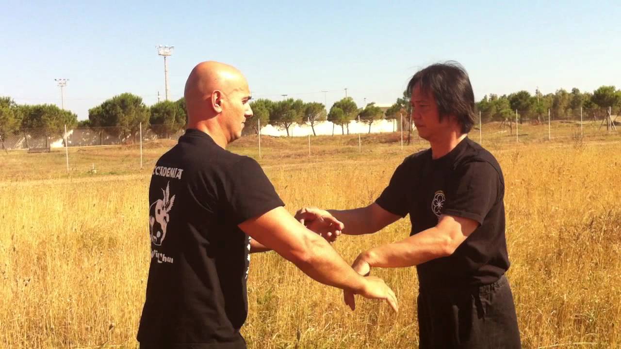 chi sao SIFU G.POMPIANU GM AUSTIN GOH YouTube