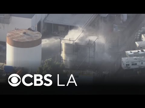 The Charlotte_99xx Leak: Inside The Investigation