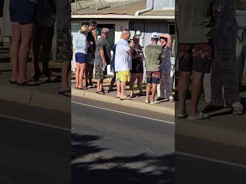 Papi S Ohana Famous Cinnamon Rolls Maui Lahaina Cinnamoroll Kaanapali Hawaii Localeats Eats