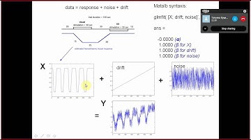 SPM12 (Kyiv 2015): day 2, Part 1/8. Generalized linear model, Matlab 1/3