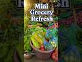 Mini Grocery Refresh 🌿 | Simple Home Routine |Mini vlog