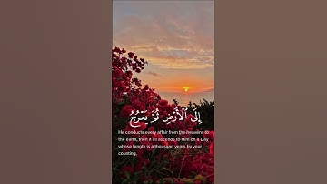 و يدبر الأمر من السماء إلى الأرض || سورة السجدة || القارئ: اسلام صبحي