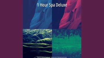 Paradise Like Shakuhachi and Koto - Vibe for Wellness Treatments