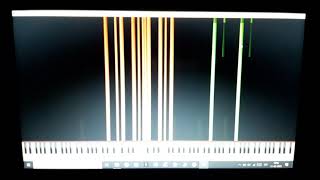 mi primer test de black midi en Zenith