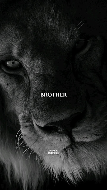 To My Brother #brother #love #shorts