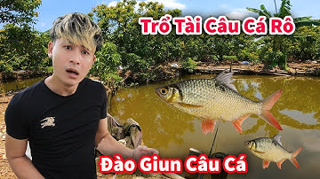Hậu Cáo - Đào Giun Làm Mồi Câu Cá Rô Mỏi Tay || Hậu Cáo Câu Cá