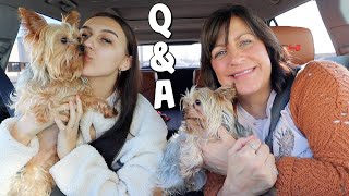 You Asked, We Answered | Q & A