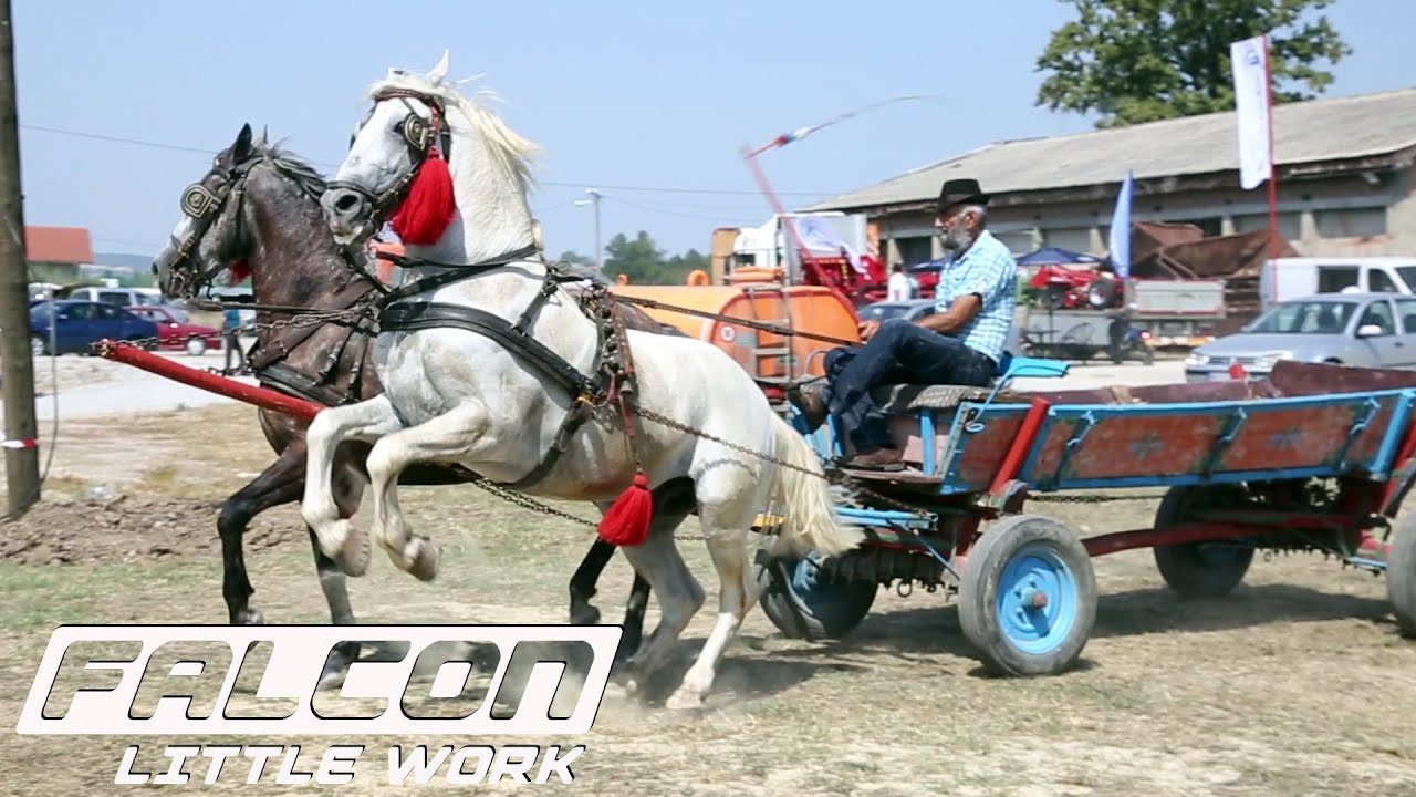 Konji na vašaru  🐎 Horse on trade fair