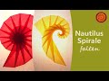 Leuchtende nautilus spirale falten anleitung i fensterdeko selber machen i waldorf bastelei