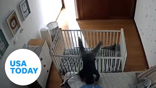 Baby genius moves crib around from inside before escaping it | USA TODAY