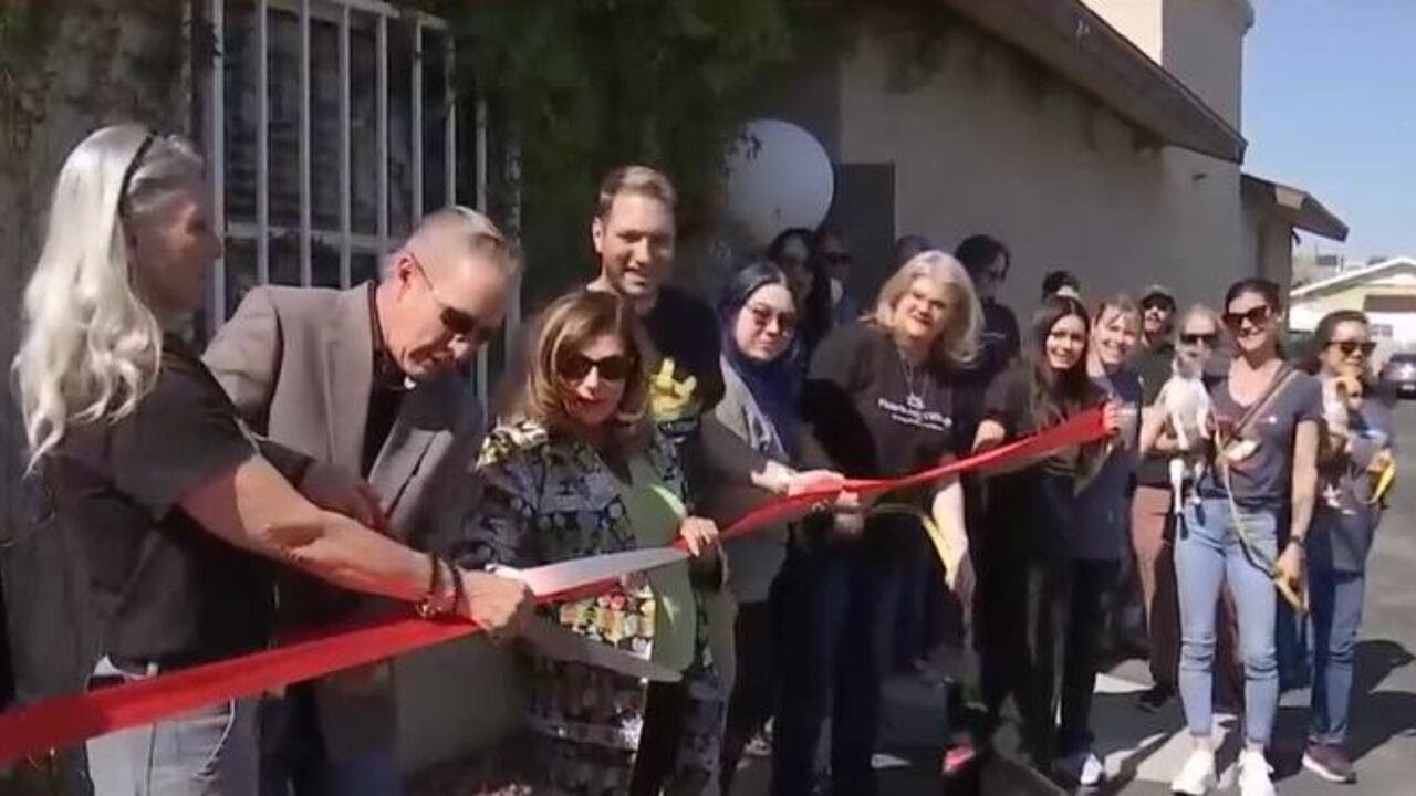 Low-cost spay and neuter clinic opens in east Las Vegas - YouTube