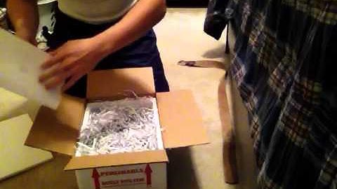 Unboxing Clown Ball Python