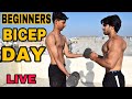 Beginners bicep workout at home live stream badri fitness