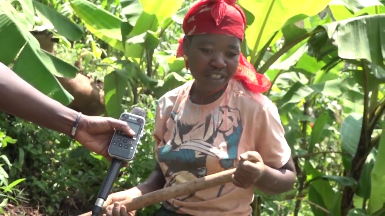 Ntibahingira igihe kubera kubura imbuto- Rugabano